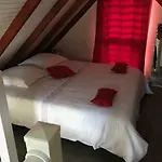 Iguane Rouge