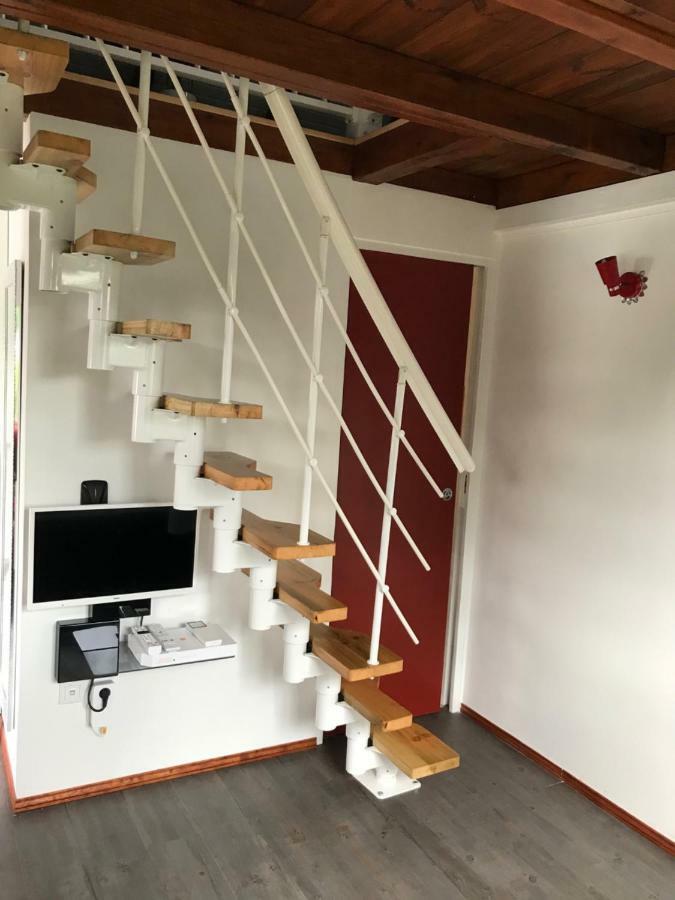 Iguane Rouge * Petit-Bourg