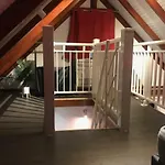 Iguane Rouge