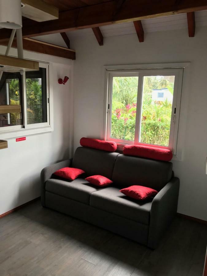 Iguane Rouge Petit-Bourg